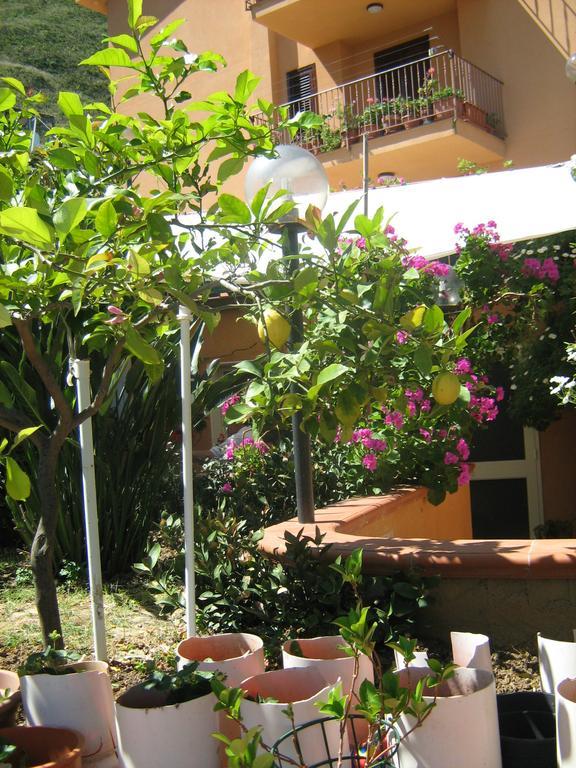 Apartament Terrazza Mimosa Cefalù Zewnętrze zdjęcie