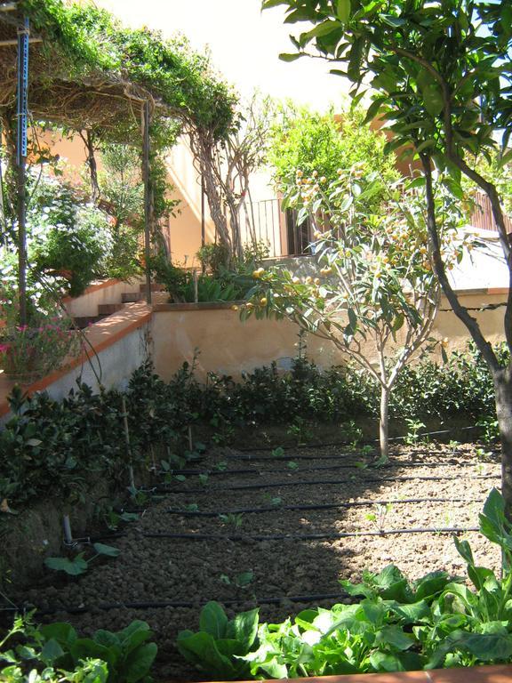 Apartament Terrazza Mimosa Cefalù Zewnętrze zdjęcie